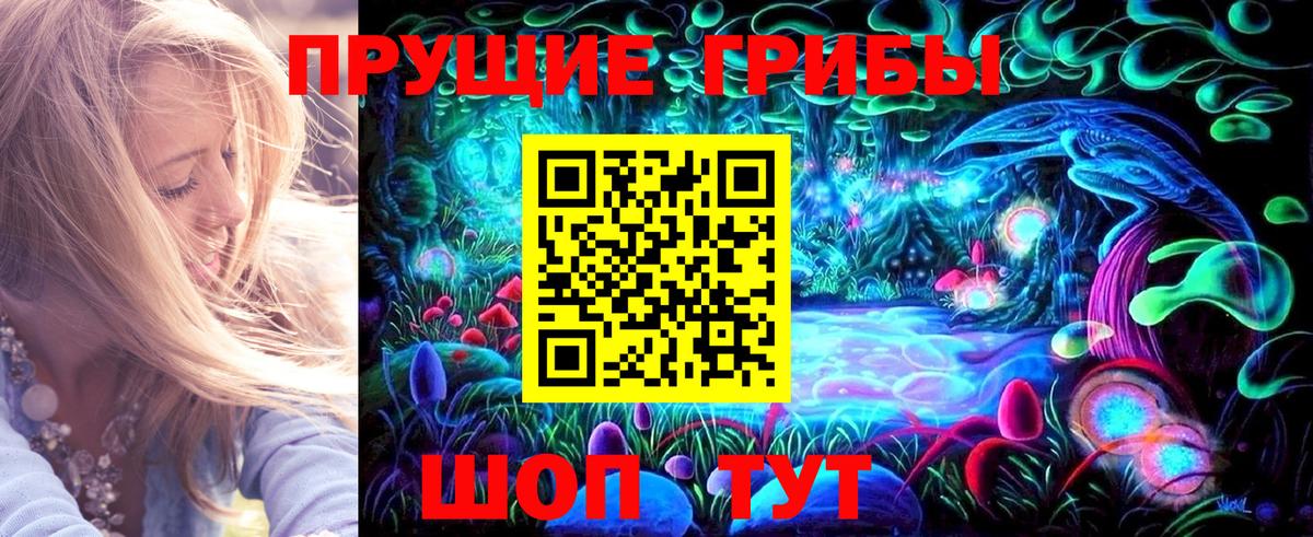 Галлюциногенные грибы Psilocybe  Вход с VPN  Можга 