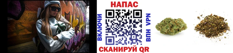 Бошки Шишки THC 21%  ОМГ ОМГ маркетплейс  Можга 