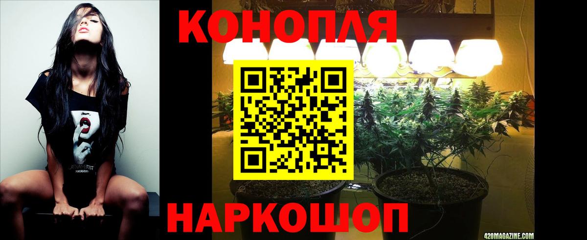 Шишки марихуана THC 21% Можга